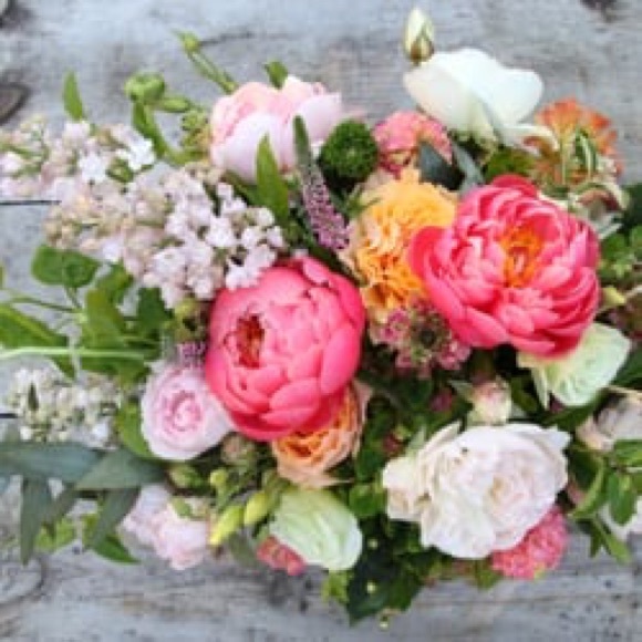 Meet your Posher... - Picture 1 of 1